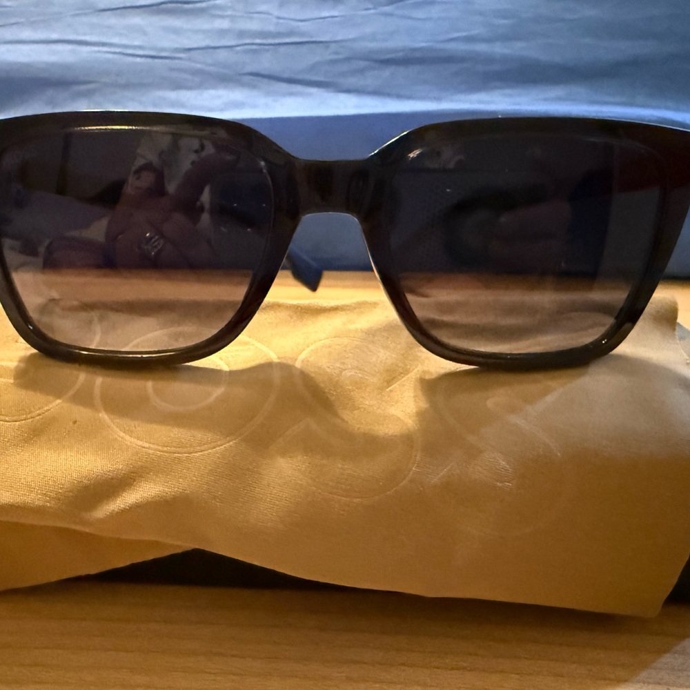 Hugo Boss Dark Frame Sunglasses